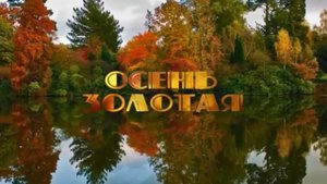 Веселые задорные песенки для детей сборник №2