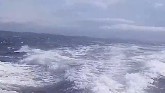 31-й Чемпионат Европы по подводной охоте. Краткий обзор. смотреть онлайн