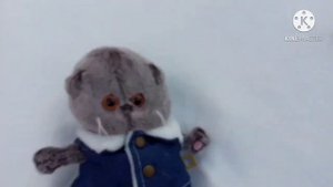 Басик катается со снежных горок.☃️