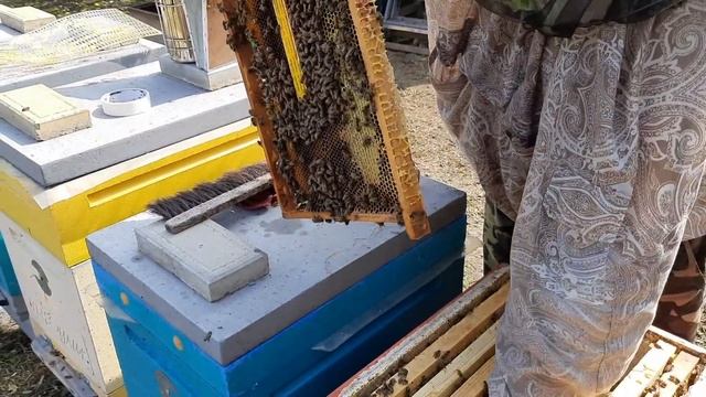 Масштабный Эксперимент. Зимовка Пчёл.Часть1 смотреть онлайн