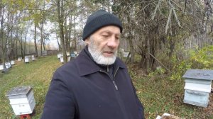 ОСЕНЬ. КАКИЕ ОТКРЫВАТЬ ЛЕТКИ И НА СКОЛЬКО.