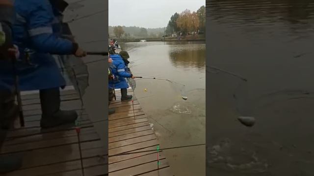 Поимки Форели смотреть онлайн