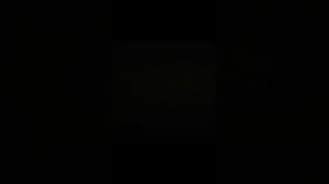 VID_20240113_143954.mp4