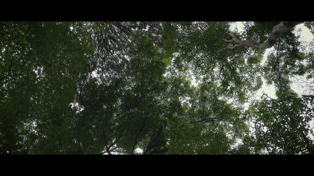 SONY RX100M7 | Kyoto Giouji смотреть онлайн