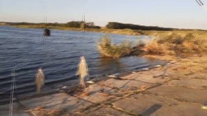 Рыбалка на фидер ,село Малокирсановка река "мокрый еланчик"