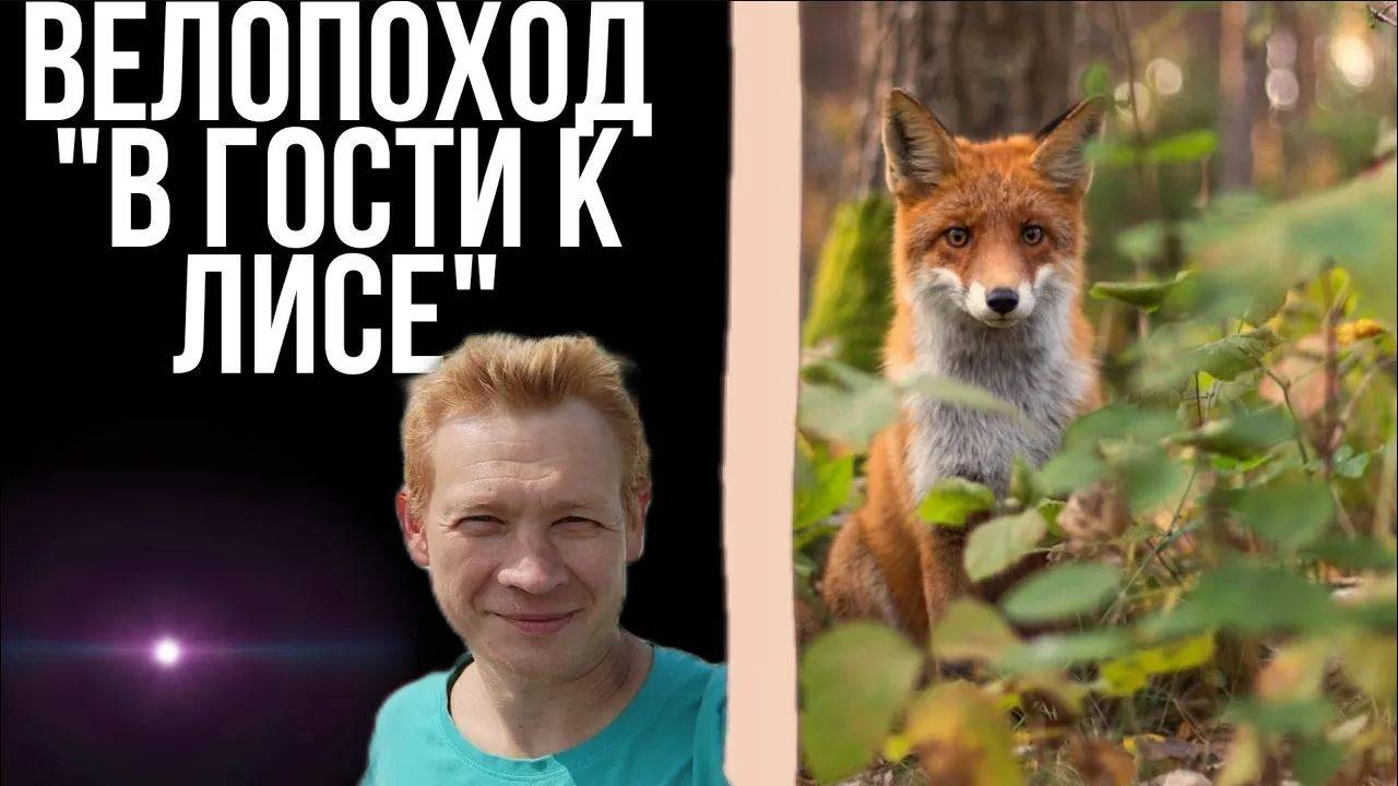 Одиночное велопутешествие_Встреча с доброй и молодой лисой_поход на велосипеде (1)