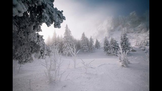 КО ДНЮ МАТЕРИ БЕРЁЗА смотреть онлайн