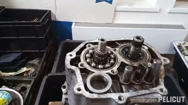 11 марта 2024 г. кпп москвич от Александра из Гольяново смотреть онлайн