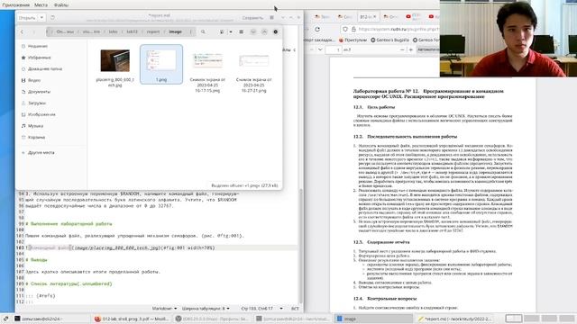 Лабораторная работа 12. Отчет. смотреть онлайн