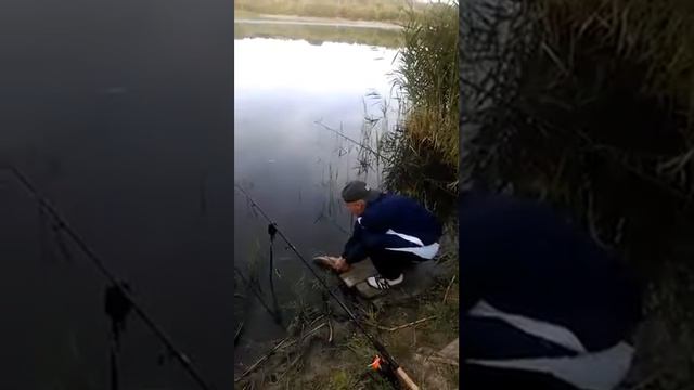 Ладыжино смотреть онлайн