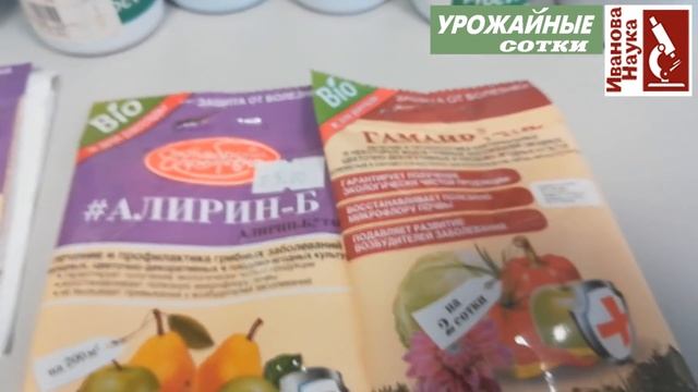 Почему растения заболели и не сработал биопрепарат? Как разбудить защиту растений?