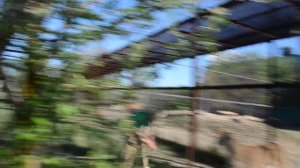 1 мая  среди львов  ! Гости из Питера ! Тайган .Крым