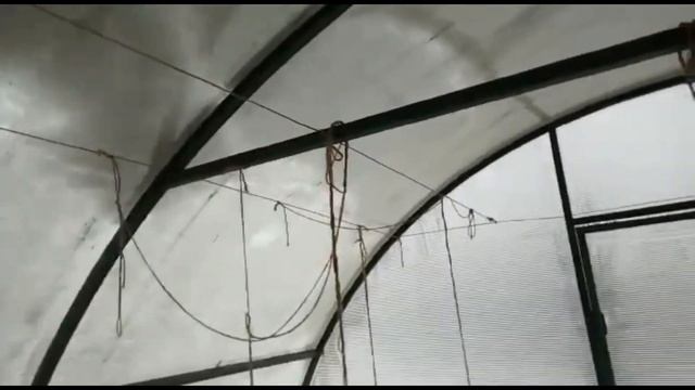 Обзор теплицы с новым и старым поликарбонатом. Где лучше сходит снег? смотреть онлайн