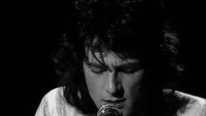 The Birds - Peter Hammill