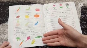 Обзор на развивайку для Басика???️