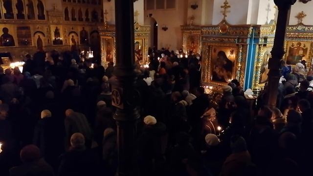 Покаяния отверзи ми двери, Жизнодавче