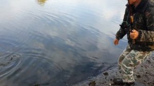 Рыбалка в Турове у Припяти