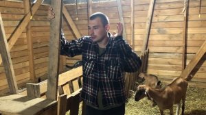 НЕ ПЕРЕЕЗЖАЙТЕ В ДЕРЕВНЮ! НЕ БЕРИТЕ С НАС ПРИМЕР! НАШ ОПЫТ И РАЗОЧАРОВАНИЯ! ДОМ В ДЕРЕВНЕ!