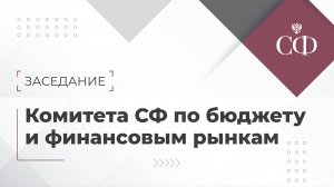 Заседание Комитета СФ по бюджету и финансовым рынкам