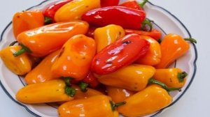 Маринованный перец без закатки