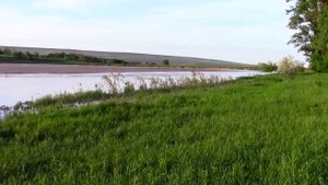 21_05_2019_СЕЛЬСКИЙ ПРУД_с.ГОФИЦКОЕ_СТАВРОПОЛЬСКИЙ кр.mp4