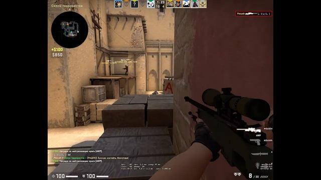 CS GO | Valorant | GTA 5. Pesyah