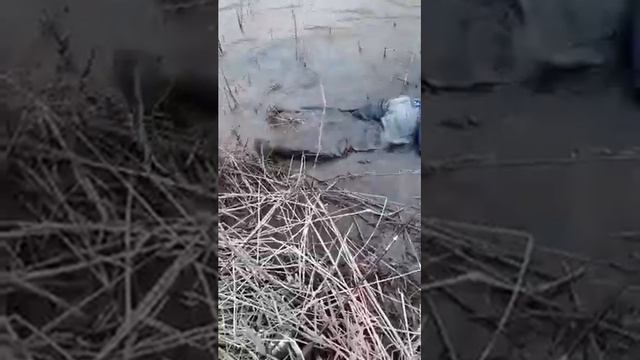 каракалпакстан хожели смотреть онлайн