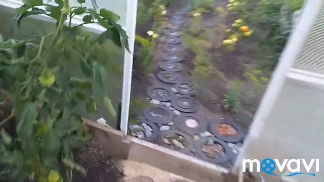 Заготовка на зиму.Покупки.Огород.Занимаюсь цветами. смотреть онлайн