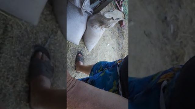 Луганская калибровочная веялка Украина фермера Васильевича. смотреть онлайн