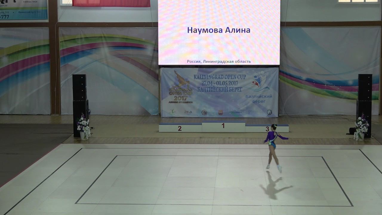 AEROBYC GYMNASTICS (AG1 IW)