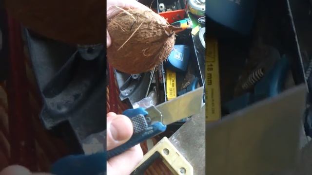 как правильно разрезать кокос !!! решение проблемы смотреть онлайн