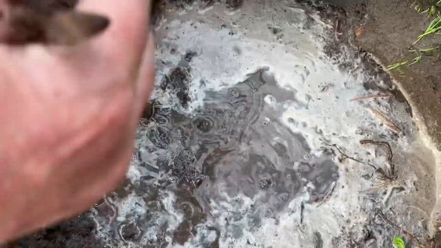 КАК ПОСАДИТЬ ЧЕРЕШНЮ СОВЕТЫ при ПОКУПКЕ ЧЕРЕШНИ