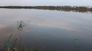 Рыбалка на Кубани  река Кирпили  Хорошая рыбалка с уловом