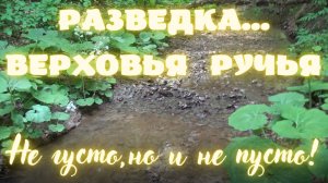 Разведка.Верховья Ручья! Не густо,но и не пусто!