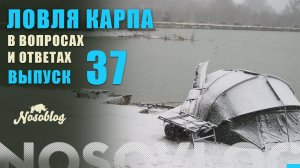 Карпфишинг в вопросах и ответах, выпуск 37, Колесников А.