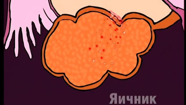 "Когда девочка взрослеет". 1-я часть.