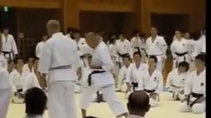 Curso com Tanaka Masahiko sensei - karate shotokan