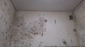 Подготовка Стен и Пола к Укладка Плитки. Наливной Пол. Посмотрите Будет Интересно.
