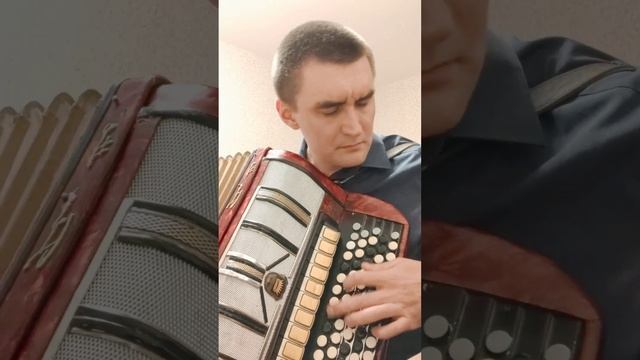 Александр Дюмин - Времечко (cover на баяне)