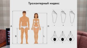 Половая конституция. Какая у тебя!?