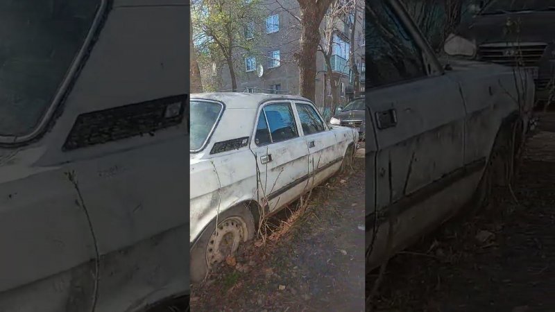 Брошенная Волга #automobile #Волга #автохлам #автохламанет