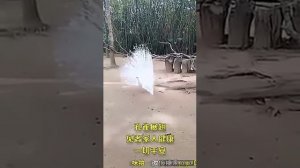 Угай она серял 16 кисм