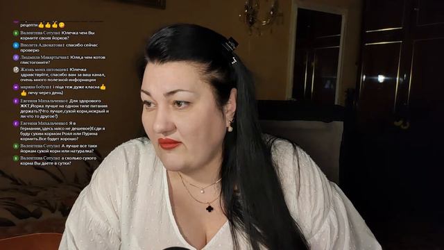 Отвечаю на вопросы по поводу собак и котов. смотреть онлайн