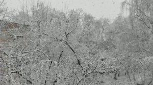 Nieve en Orenburgskaya 1,
 28 de noviembre 2020