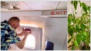 Влад сломал самолет в Таиланде. А меня захватила новая страсть, мне нужна помощь, не остановиться!