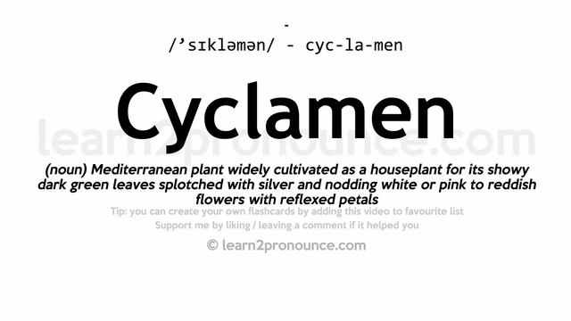 Pronunciation of Cyclamen | Definition of Cyclamen смотреть онлайн