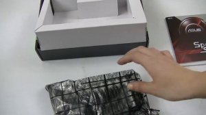 Видеокарта ASUS GeForce 210 (210-SL-TC1GD3-L) - распаковка