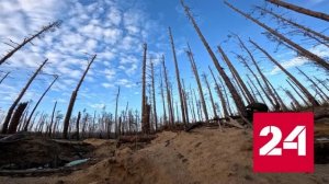 Минобороны России: за сутки в боях погибли 700 украинских военнослужащих - Россия 24