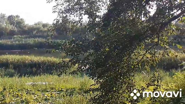 Чем занимаются родители в селе смотреть онлайн