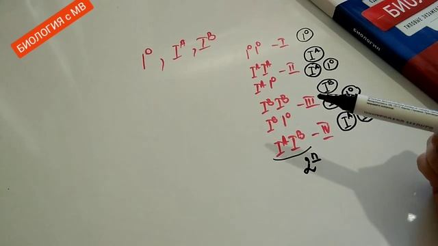 Задача на группы крови. ЕГЭ. смотреть онлайн